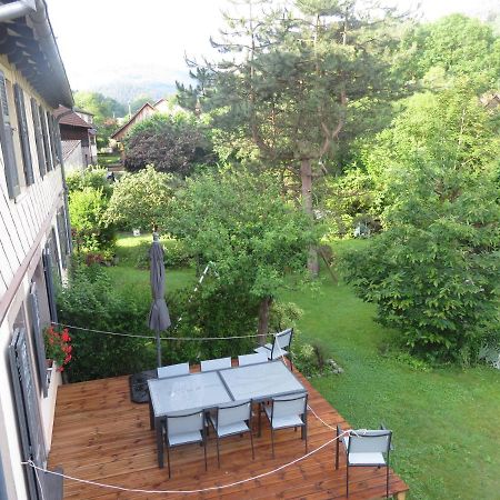 Au Nid Douillet Apartamento Metzeral Exterior foto